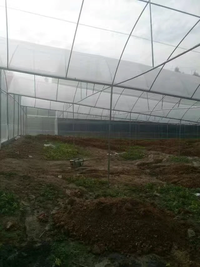 carbon steel mesh