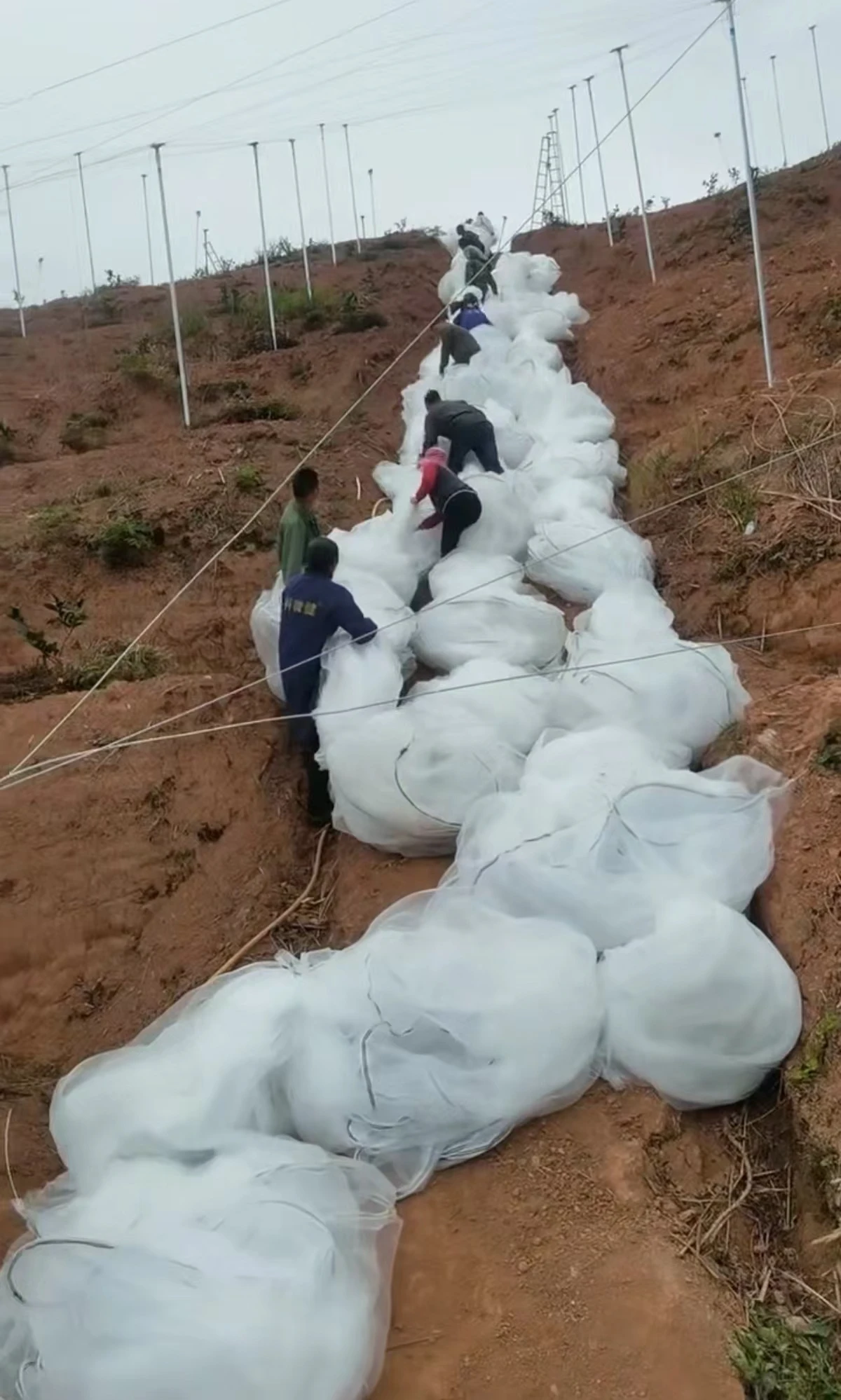 nylon netting material