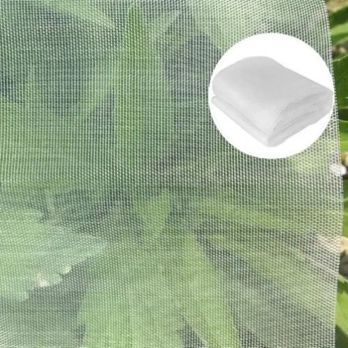 A basic introduction to insect proof nets
