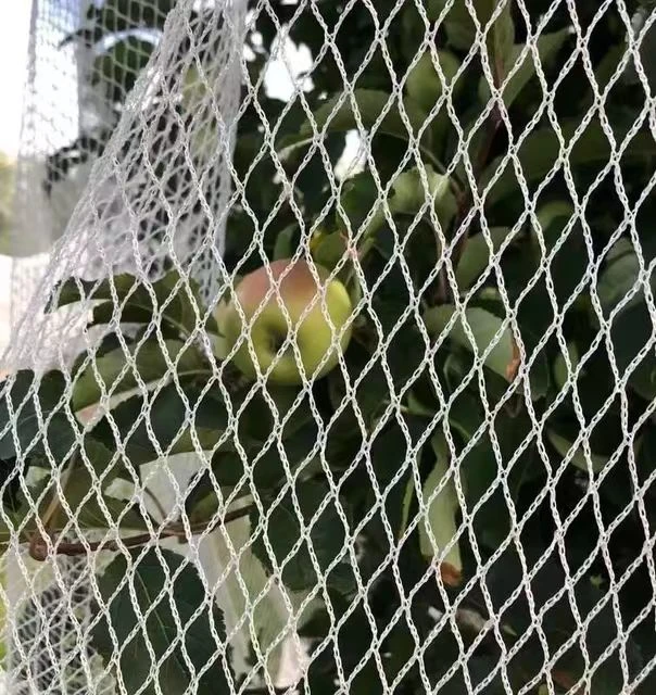 Comprehensive Understanding Of Anti-Hail Net