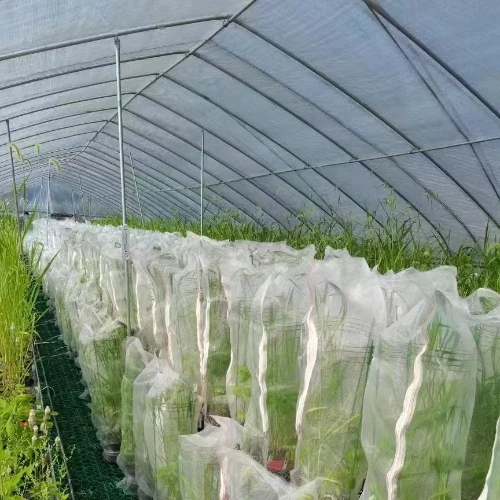 Importance Of Insect Proof Net In Gardening