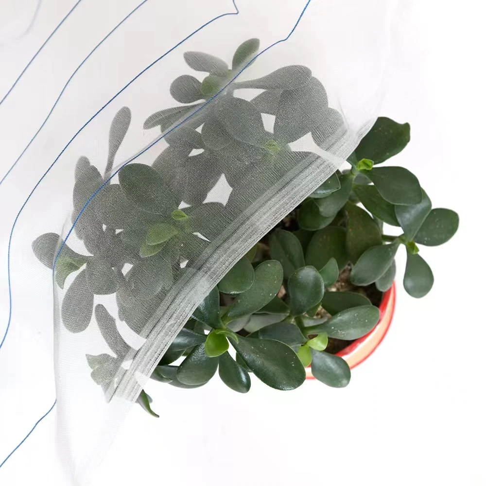 The Purpose And Importance Of Bug Net Fabric