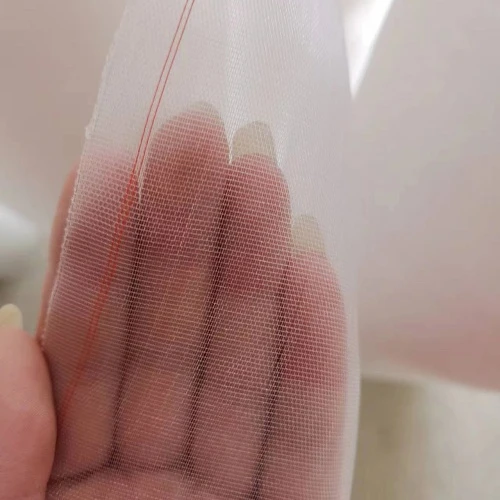 sweeping net insect