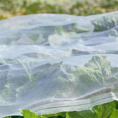Anti-Insect Netting: 5 Benefits & 5 Considerations You May Not Know