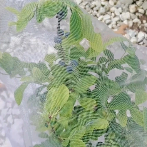 6 Top Benefits of Using Anti-Insect Nets