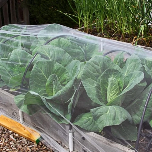 Function of Anti Insect Netting