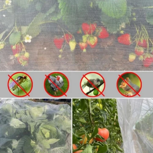 What Is the Best Netting for Insects?