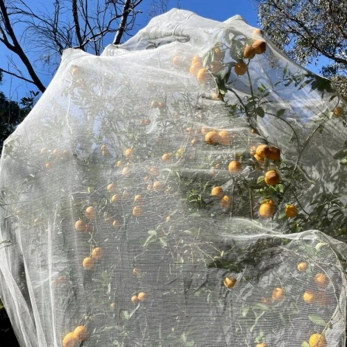 Geotextiles: Insect Netting