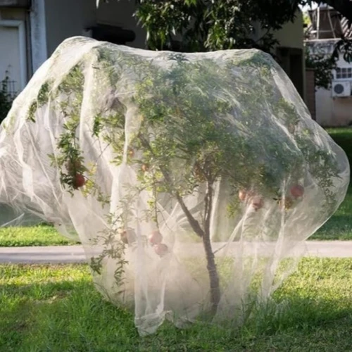 All Information about Anti Insect Netting