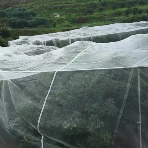 The Benefits of Using Insect Netting in Organic Farming
