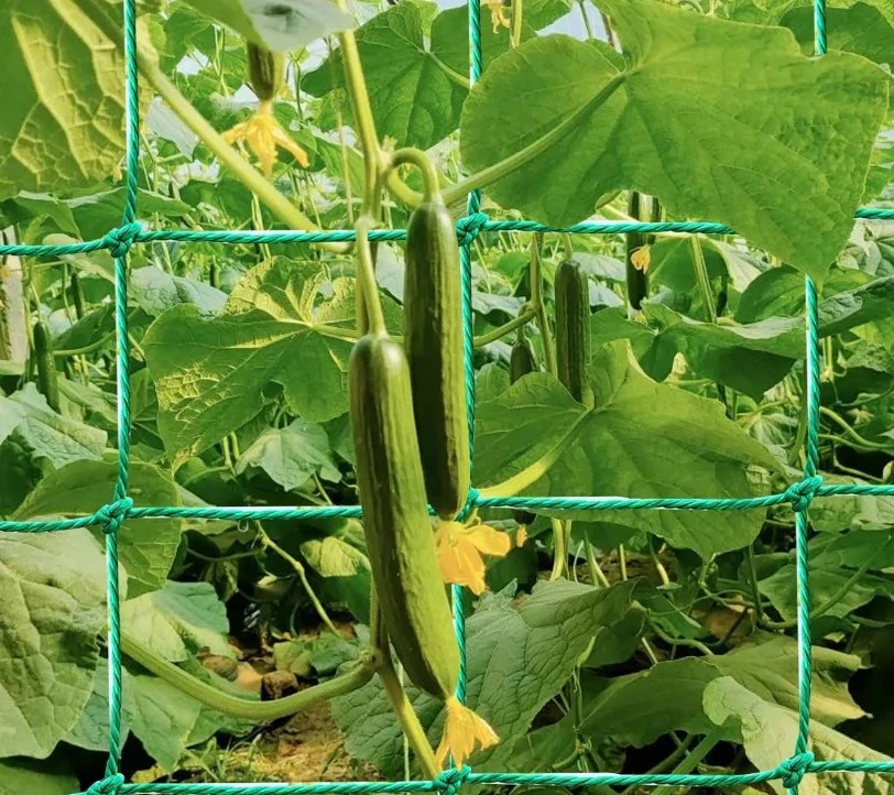 steel window screen