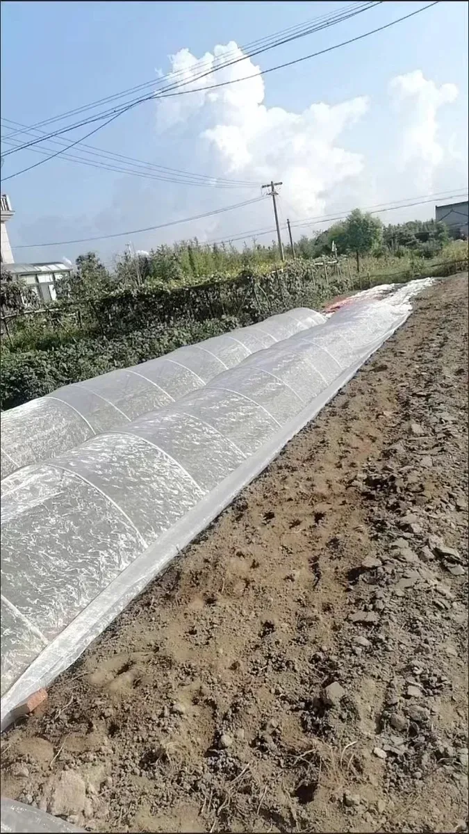 orange barrier netting