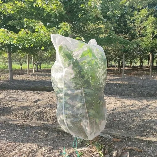 bug head net