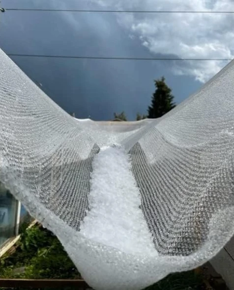 agricultural netting