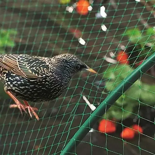 bug proof mesh