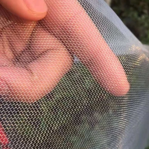 Agriculture Insect Netting Mesh HDPE Plastic UV Anti Insect Protection Proof Barrier Net