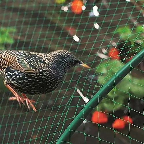 Bird Netting for Garden 13 x 40 FT Heavy Duty Anti Bird Netting Mesh