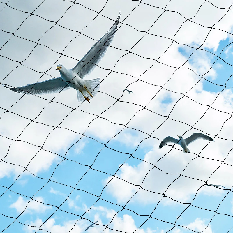 Hot Sale Factory directly 100% HDPE Nnti-Bird Net For Garden/Agriculture