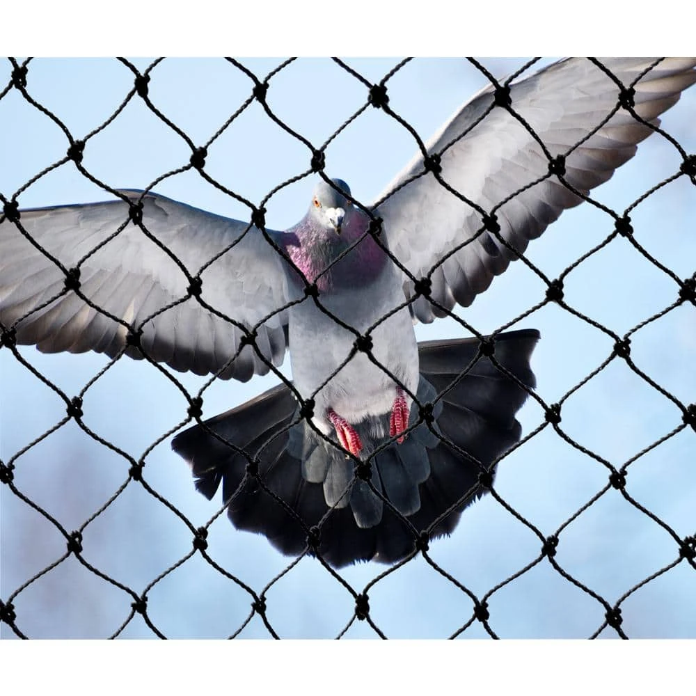 7 x 50 Feet Heavy Duty Bird Netting Protective Garden Netting