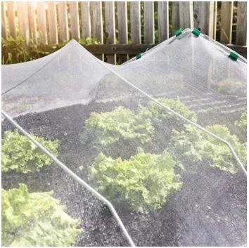 Optimize Your Harvest with Essential Agri Nets