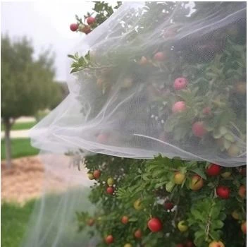Protect Your Crops with Reliable Hail Nets