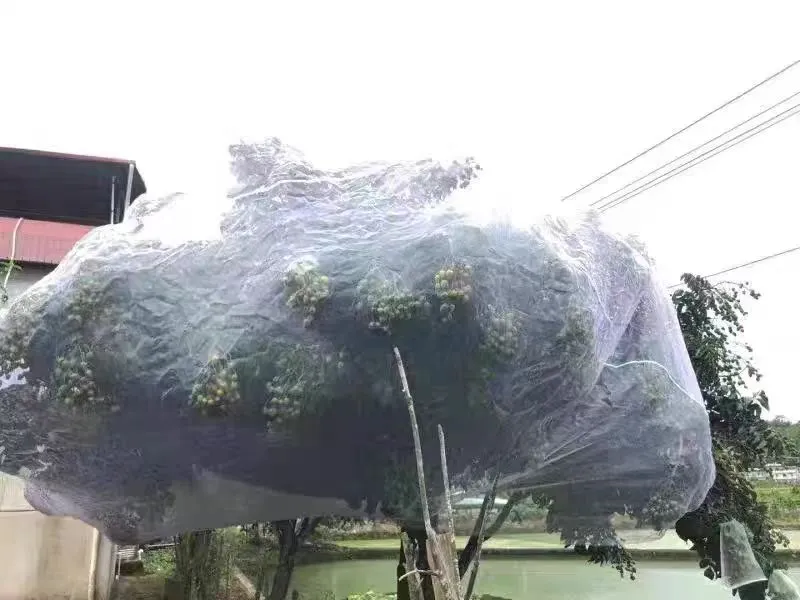 insect proof net size