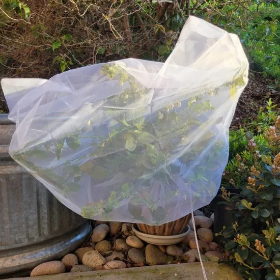 plastic net price