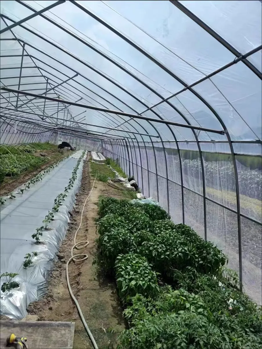 stainless steel fly screen mesh