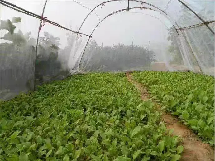 stainless steel mesh screen