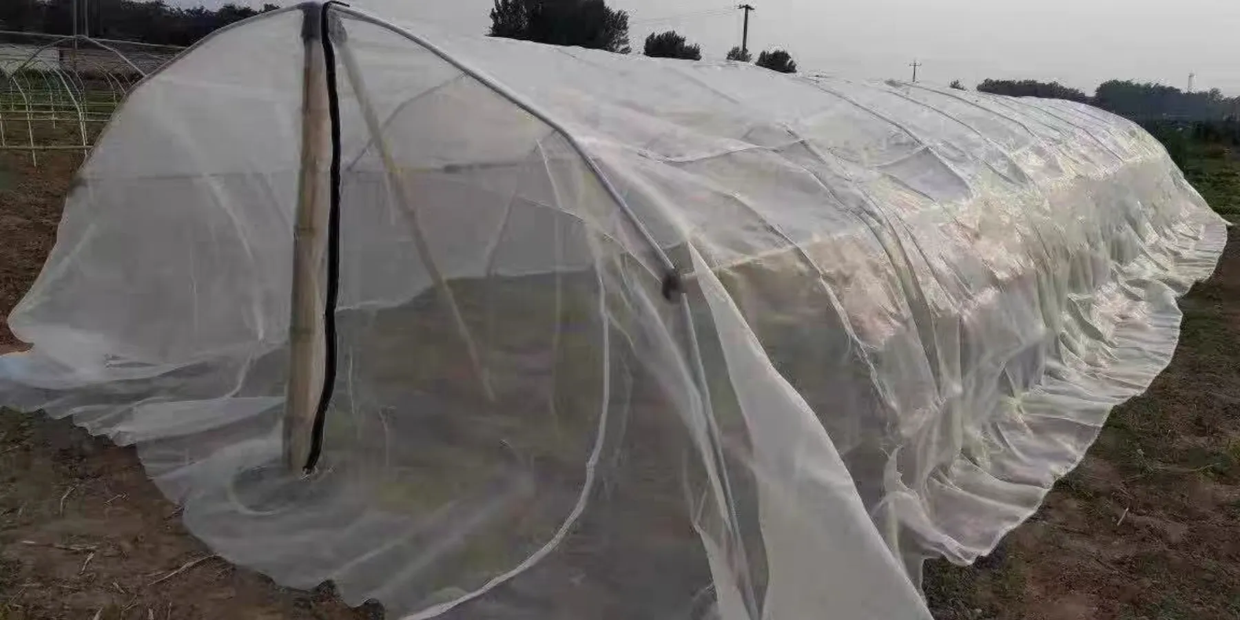 hail net