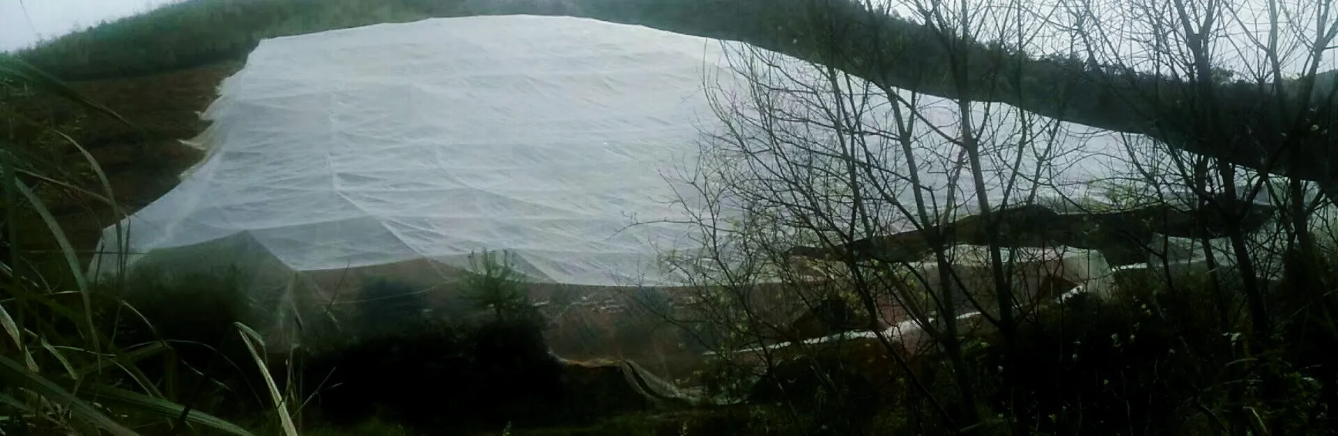 mosquito steel mesh