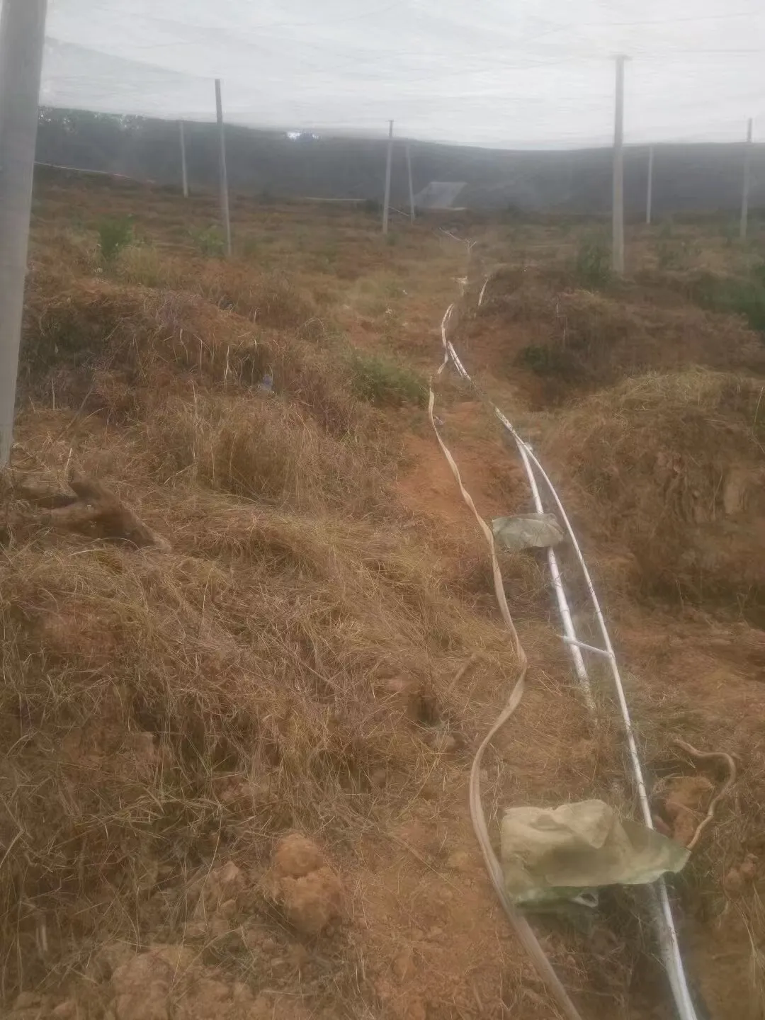 agricultural net