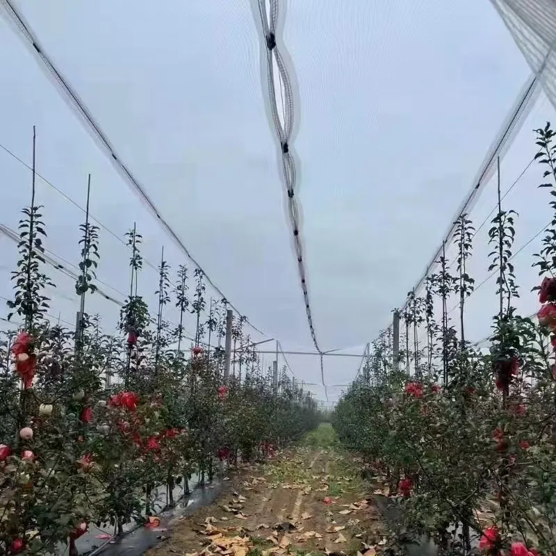 sun shade mesh tarp