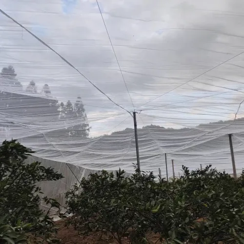 aphid proof netting