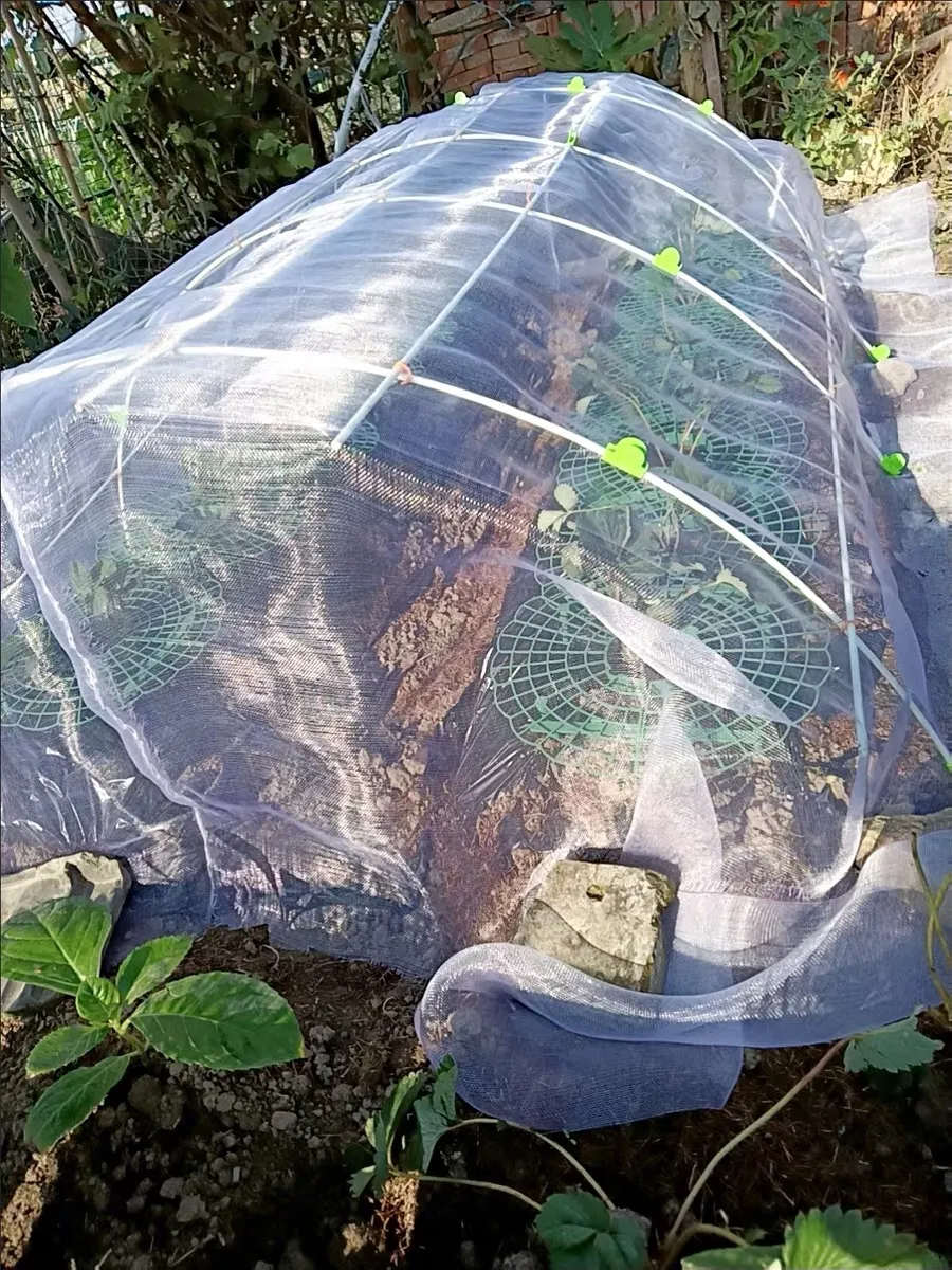 bird proofing mesh