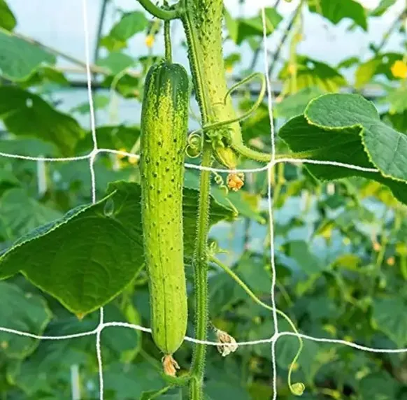 agro nets
