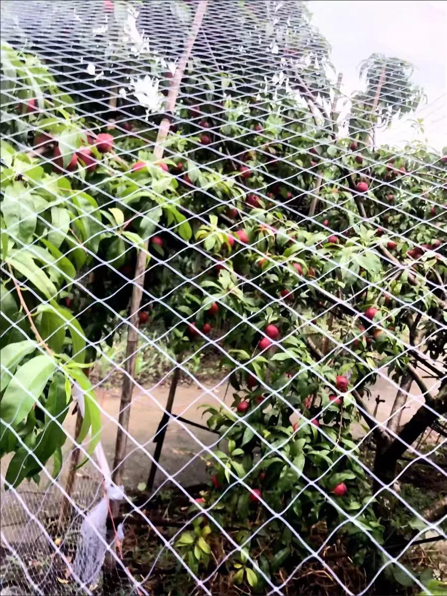 insect proof mesh for garden