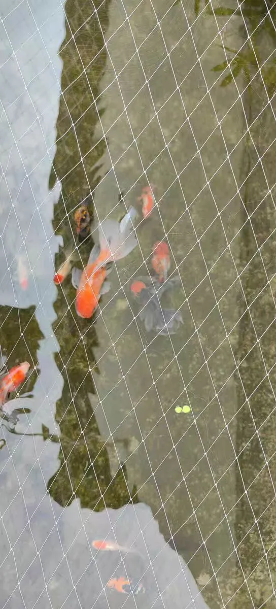 whites bird netting