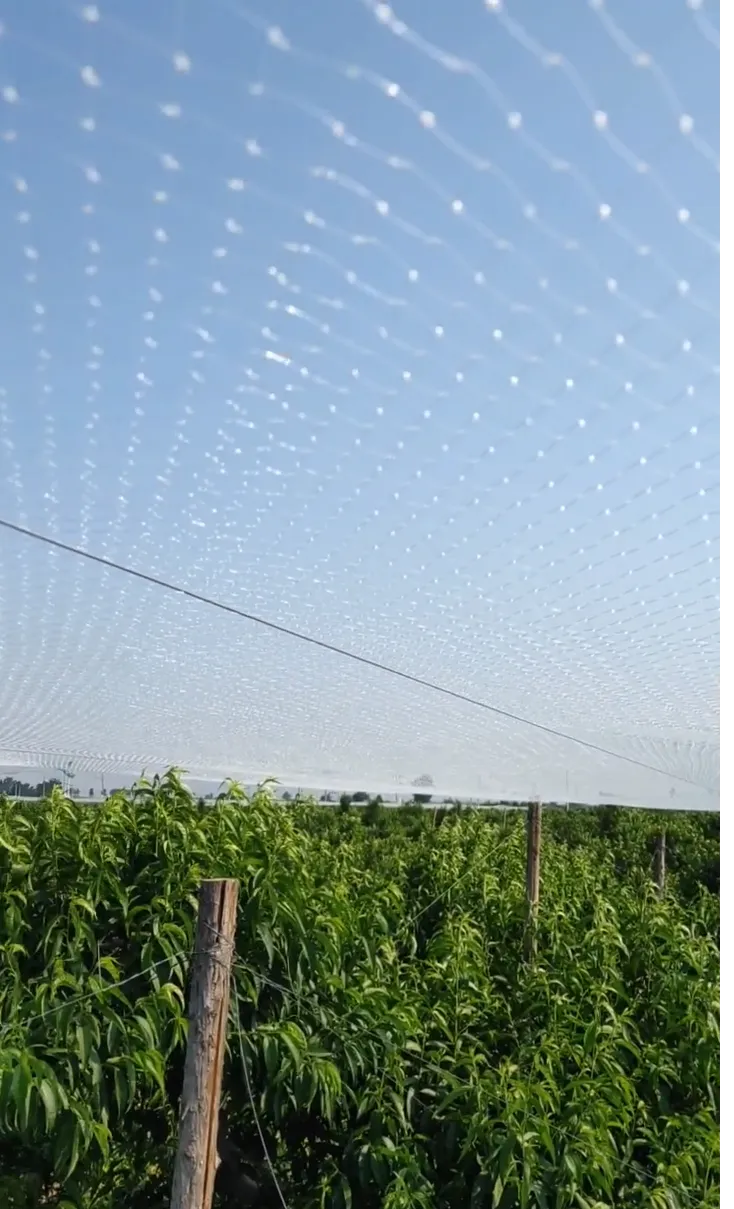 chicken wire manufacturers