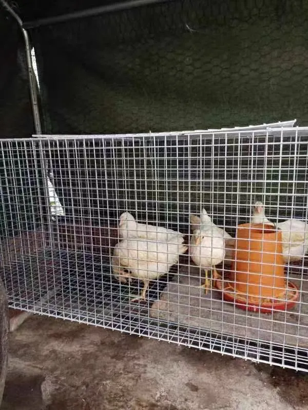 concrete steel wire mesh