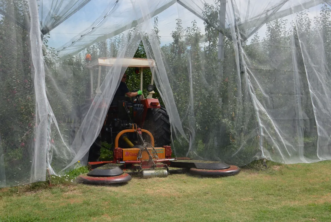 heavy duty steel mesh