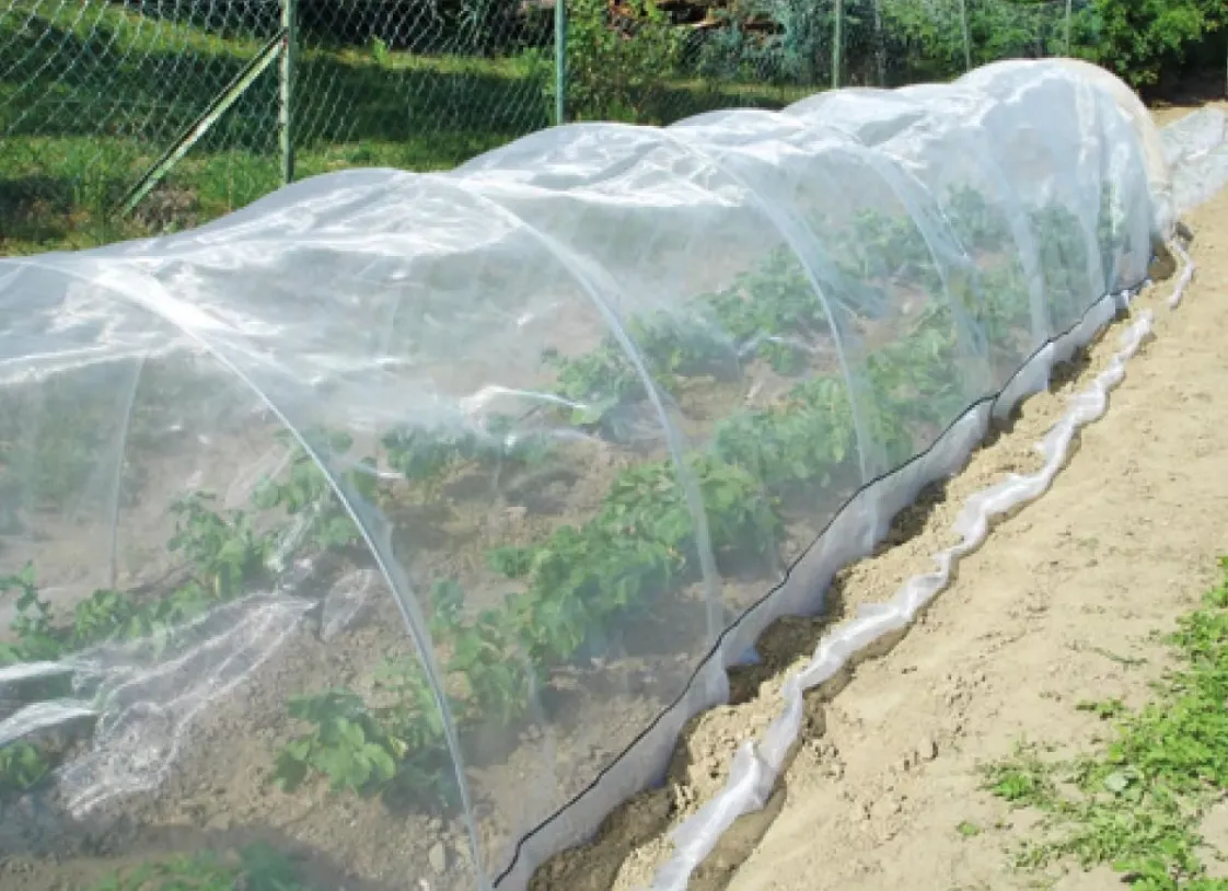 plastic nets for windows