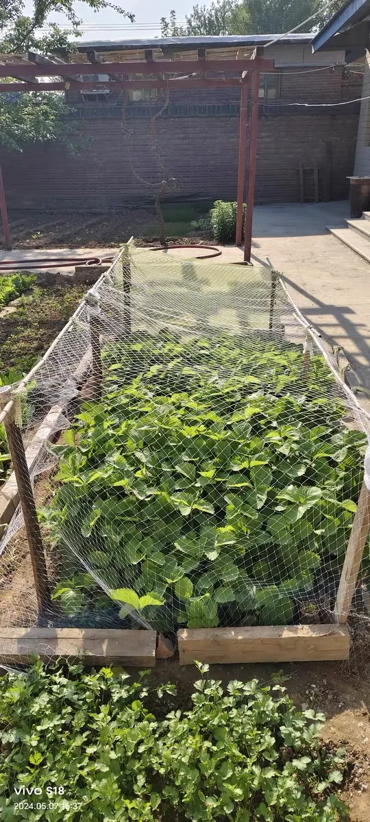 ss filter mesh