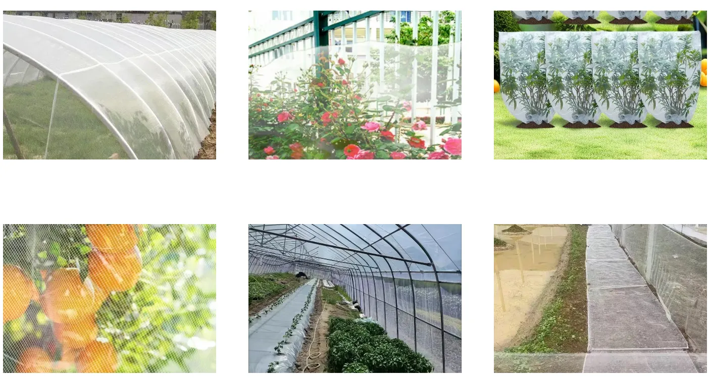 insect proof net size