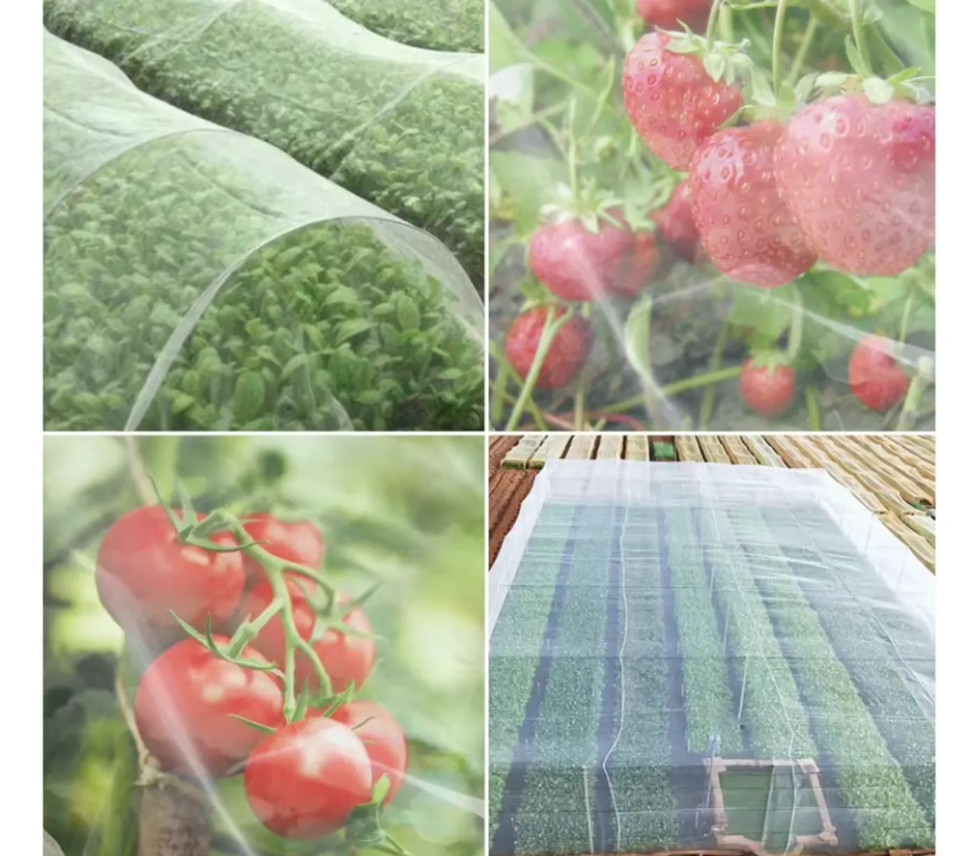 welded steel mesh
