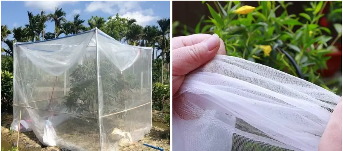bug net catcher