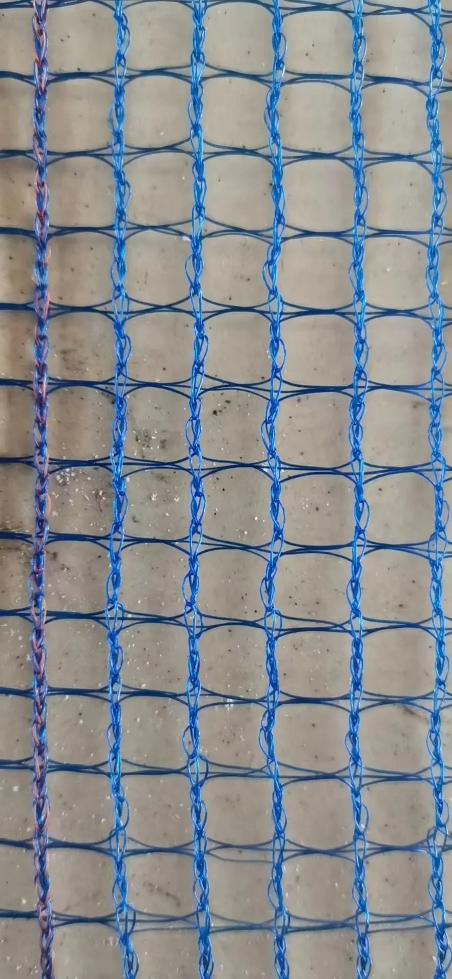 bird control net
