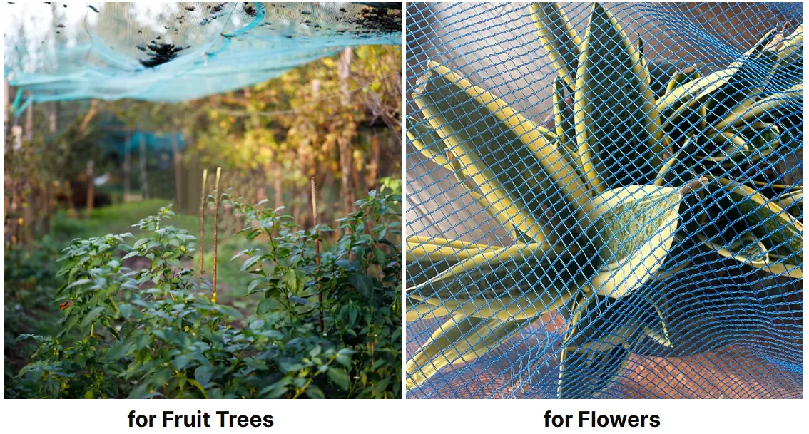 sandfly proof nets
