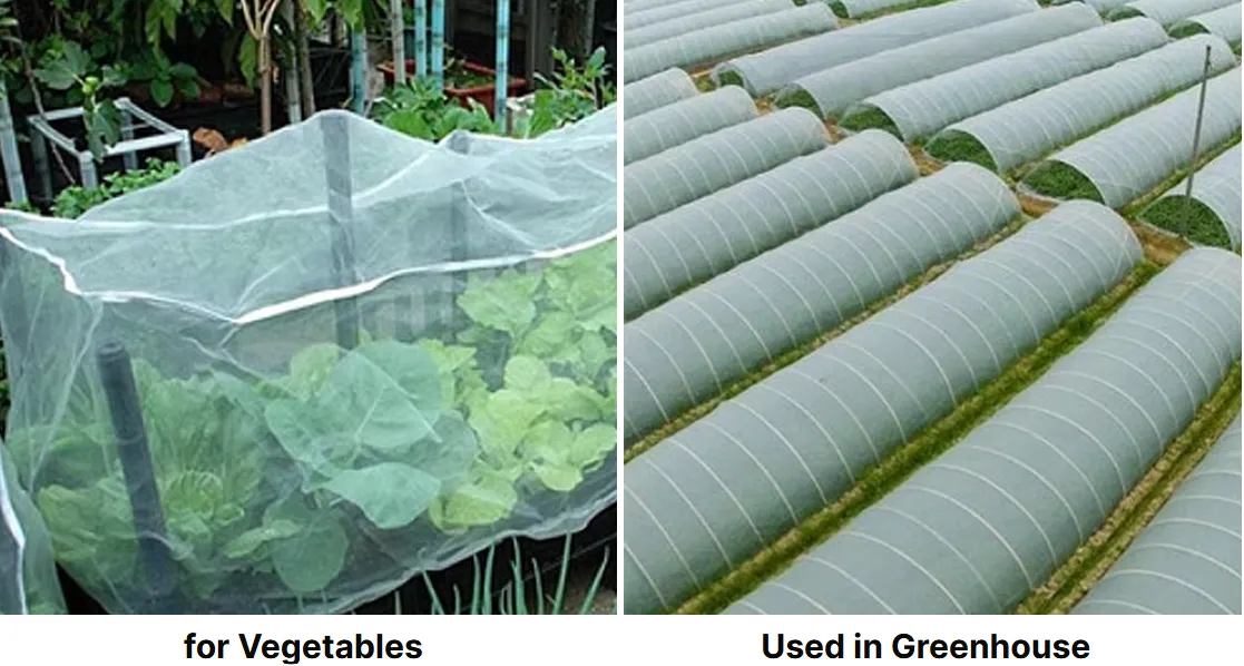 installing bird netting