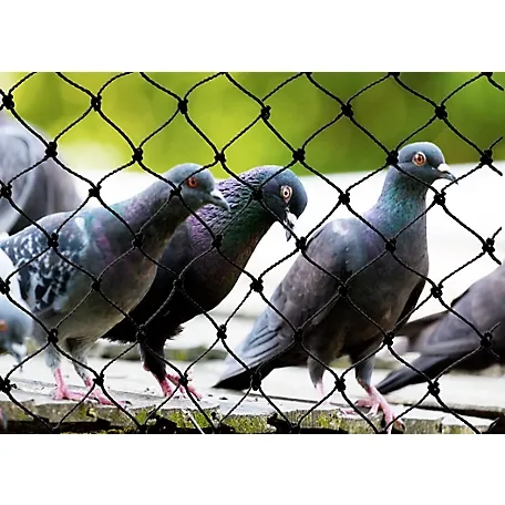 steel mesh window screen